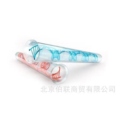 DNA/RNA核酸提取